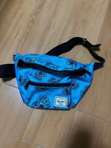 산타크루즈 바디백