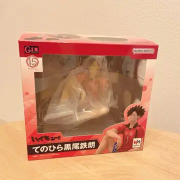 하이큐!! 테노히라 쿠로오 테츠로 피규어