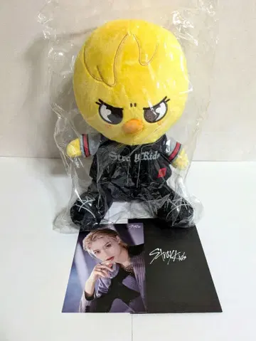 스트레이 키즈 SKZOO 포가리 필릭스 카드