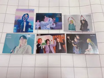 미세스 포토 카드 6점 오오모리 모토키 와카이 히로토 후지사와 료카