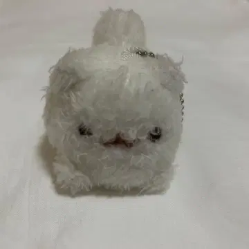 포메라니안 모찌 폭신폭신 봉제 인형 모찌