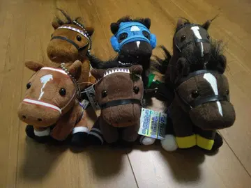 아이돌 호스 봉제 인형 세트