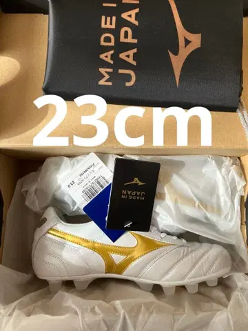 모렐리아2 JAPAN 23cm