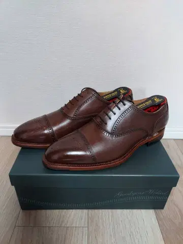 SCOTCH GRAIN 오데사 II 920 브라운