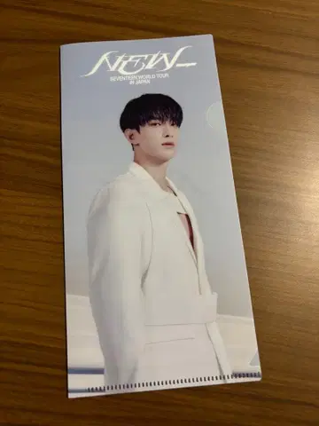 SEVENTEEN WORLD TOUR IN JAPAN 클리어 파일