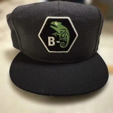 B-TRUE 플랫캡 타입 C EverGreen