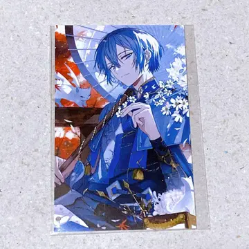 니지산지 노스탤지어 컬렉션 코야나기 로우