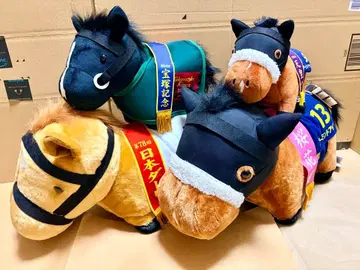 서러브레드 컬렉션 4체 세트