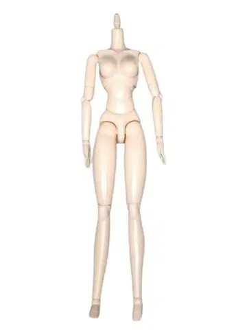 오비츠 바디 여성 + 헤드