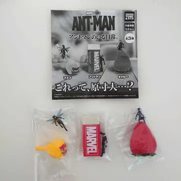 가챠 앤트맨의 일상. 전 3종 컴프 세트