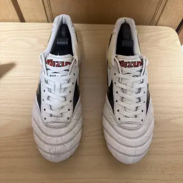 모렐리아 2 Japan 25.5