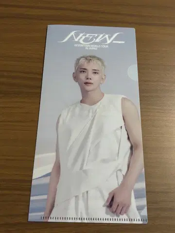SEVENTEEN WORLD TOUR IN JAPAN 클리어 파일