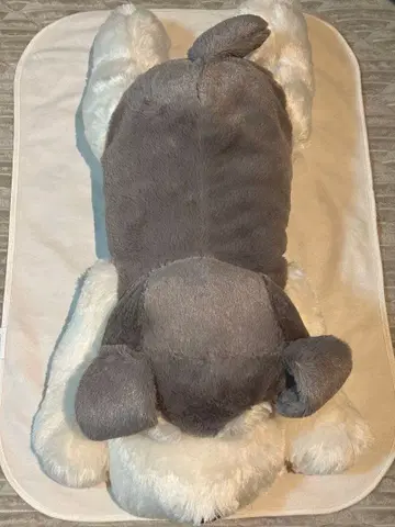 슈나와 밥이 늘어놓은 울트라 big 봉제 인형 빈