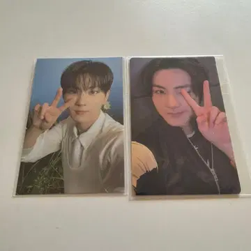 Enhypen 구매 혜택 정원