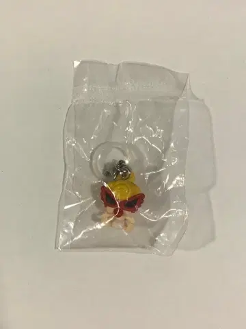 히스미니 히스테릭 미니 메지루시 액세서리