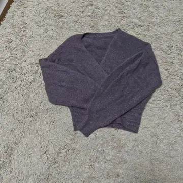 SNIDEL 퍼플 크롭 니트 ONE SIZE