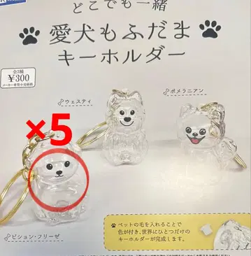 가챠 어디든 함께 퍼피볼 키링 비숑 프리제 x 5