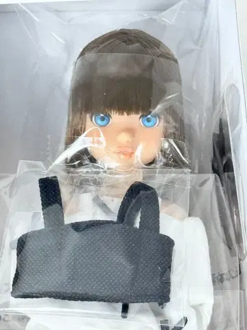 CCSgirl 24AW ruruko PS