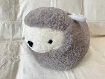 Re.muse 메짱 그레이 그레이지 메이짱 카츠토모미 봉제 인형