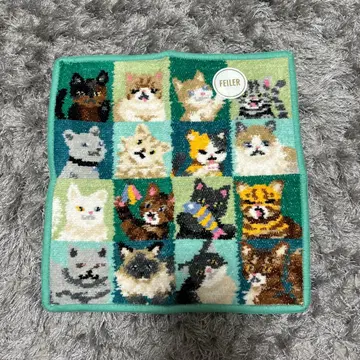 페이러 룩! 마이캣 손수건