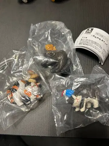 목조 작가 히토미코의 얀노카 스텝