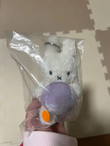 박람회 네덜란드관 ORB 미피 소