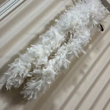 화이트 페더 스톨