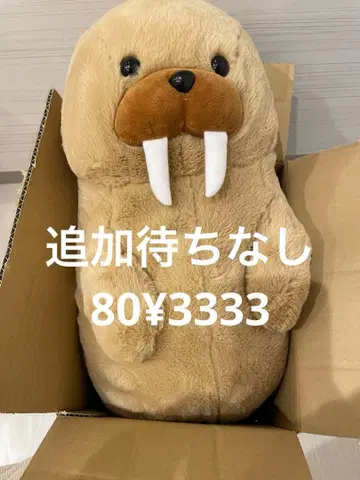 추가 대기 없음