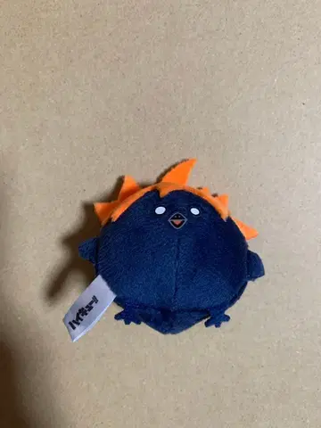 하이큐 히나 유리알의 알