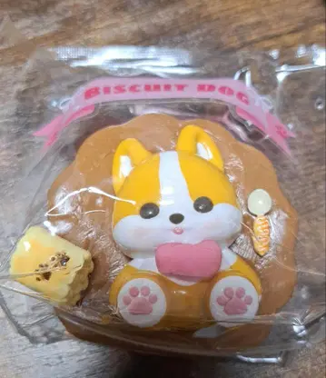 개 코기 스퀴즈