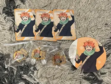 하이큐 연결 아크릴 참 후드 특전 코스모 월드 히나타 쇼요