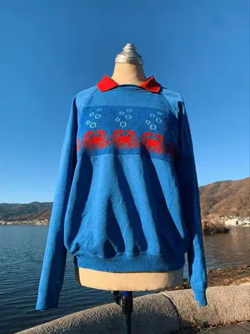 5마리 게 트레이닝복