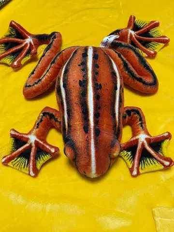 리얼 개구리 봉제 인형