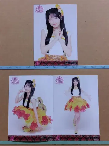 AKB48 사토 키세 20th 일본 무도관 랜덤 브로마이드 컴플리트