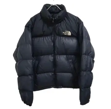 THE NORTH FACE 네이비 다운 자켓