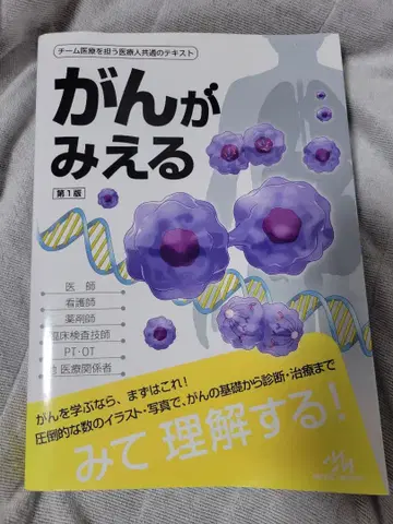 간가미에루 제1판