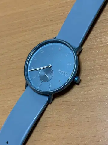 라이트 블루 스카겐 AAREN SKW6509