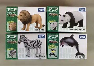 아니아 4종 세트 A [ 낱개 판매 가능 ]