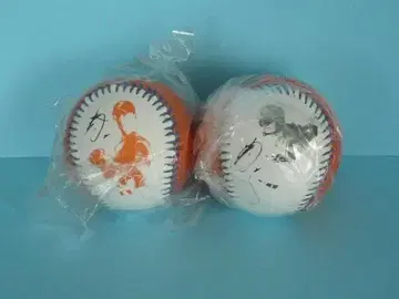 스기타니 켄시 시크릿 사진 공 파이터즈 라스트