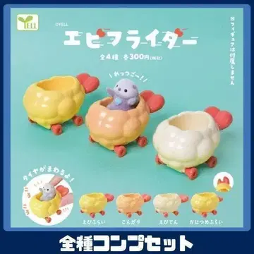 에비후라이더 전 4종 컴프 세트