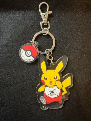 피카츄 (육상) 아크릴 키링 포켓몬 센터 한정판