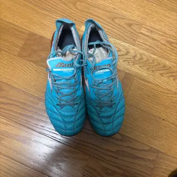 모렐리아 네오 3 W 한정판 모델