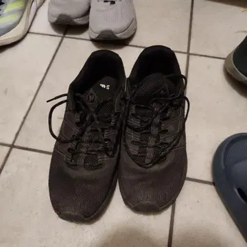 MERRELL Moab Flight 28.0cm