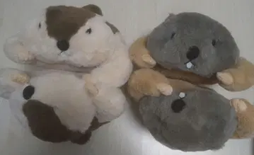 Dr.마모트 마모치오모푸쿠의 페탄&마모스모 봉제인형 L 귈