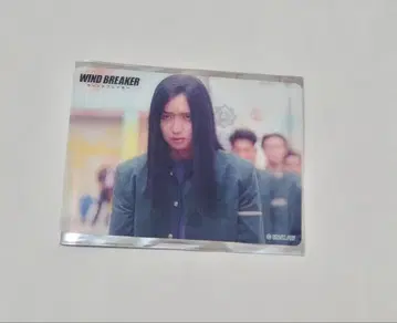 영화 WIND BREAKER 오프샷 트레이딩 카드 JUNON