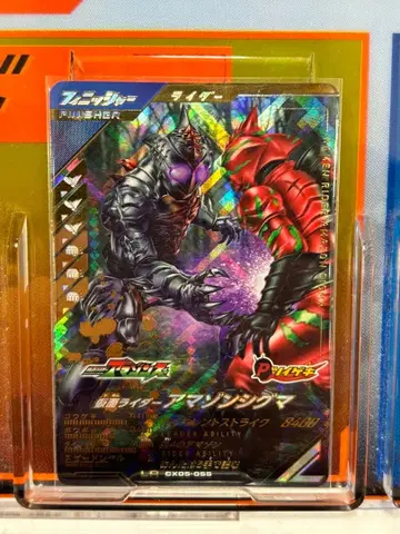 간바레레전즈 아마존 시그마 LR