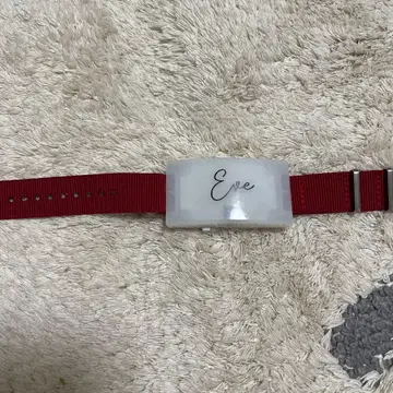 Eve 라이트 오토기