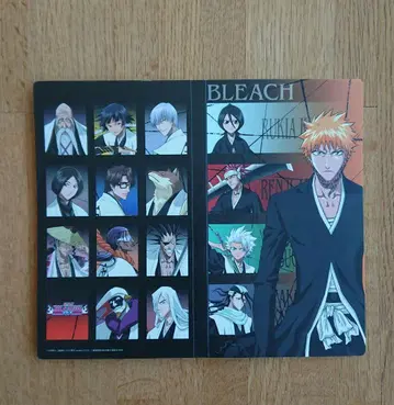 [레어] BLEACH 티켓 네임 카드 홀더 쿠로사키 이치고 후목 백야
