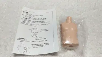 오비츠 27 딜러제 상반신 커스텀 바디