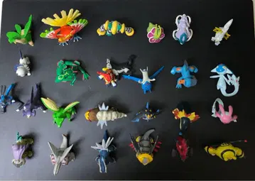 몬코레 묶음 판매